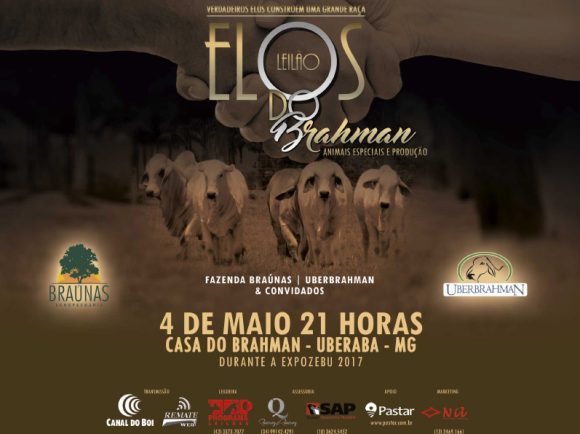 Leilão Elos do Brahman – UberBrahman e Brahman Braúnas (04/05/2017)